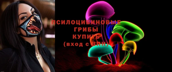 шишки Балахна