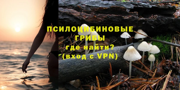 шишки Балахна